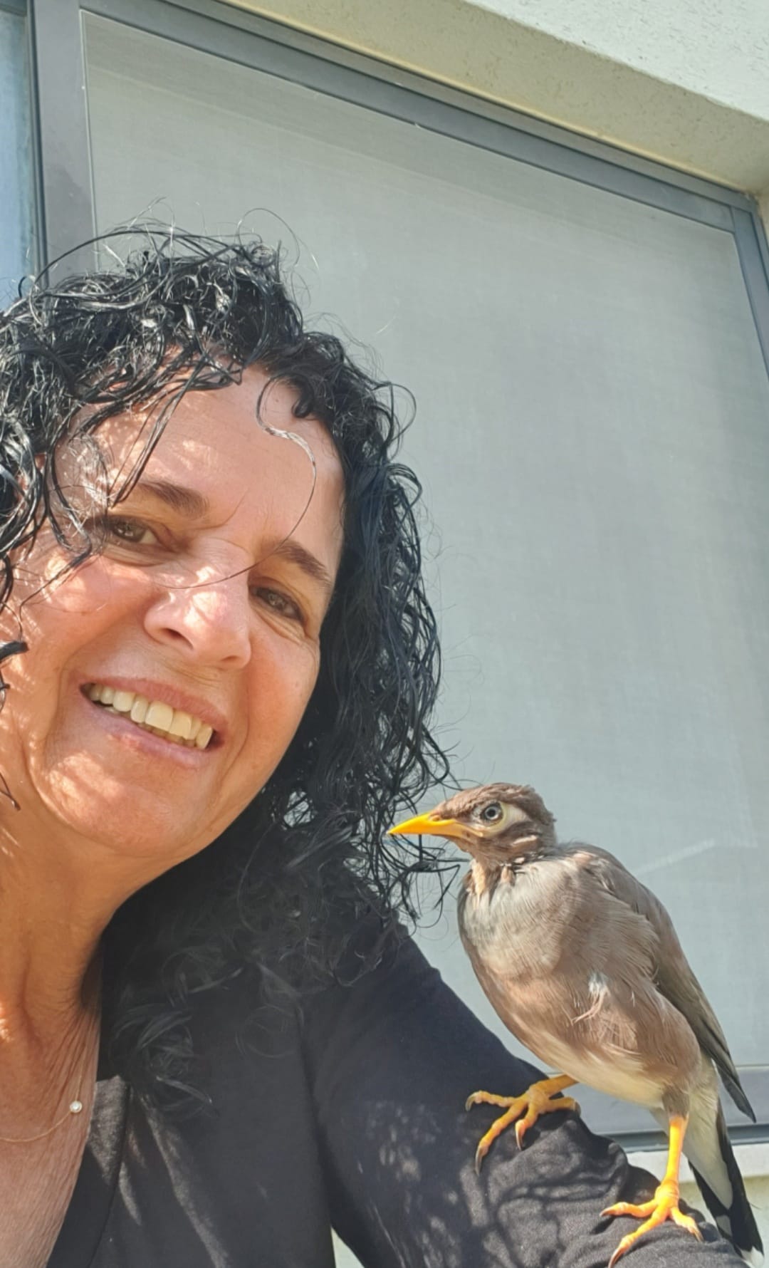 אתי אורנשטיין